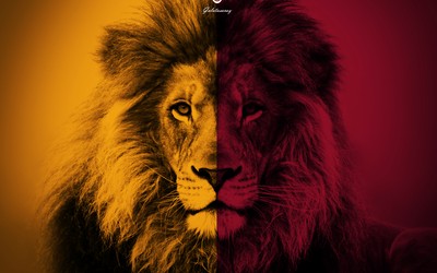 亿德电竞动态-C罗与年轻球员共同成长